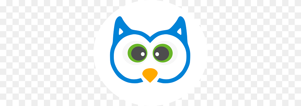 Owl Disk Png Image