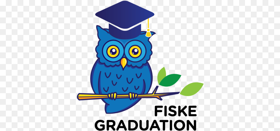 Owl, People, Person, Graduation Free Transparent Png