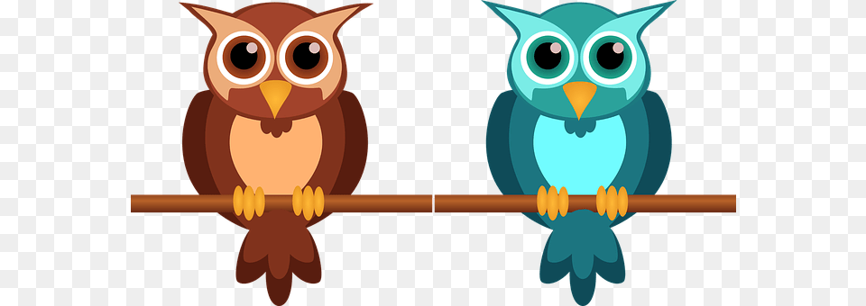 Owl Animal, Bird Free Png