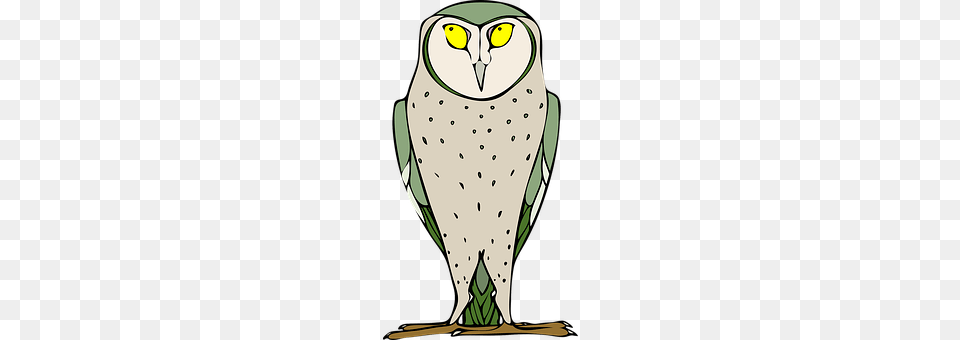 Owl Animal, Bird Free Transparent Png