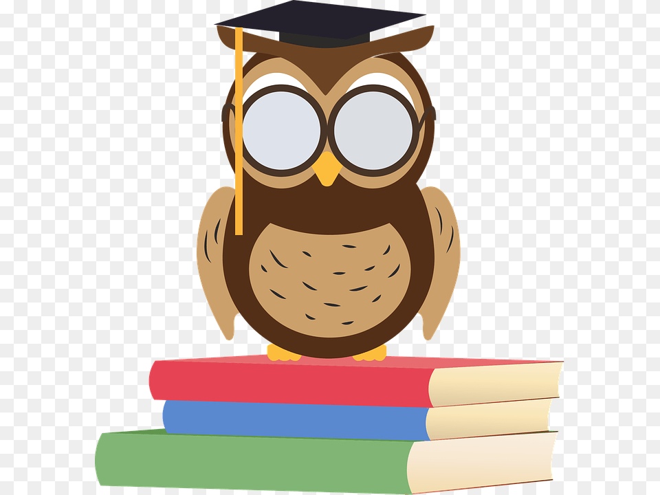 Owl People, Person, Face, Head Free Png