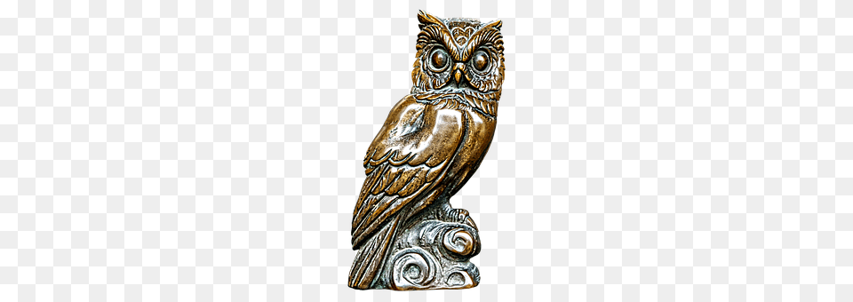 Owl Accessories, Jewelry, Locket, Pendant Png
