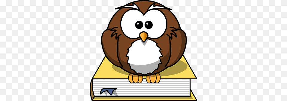 Owl Animal, Nature, Outdoors, Snow Free Transparent Png