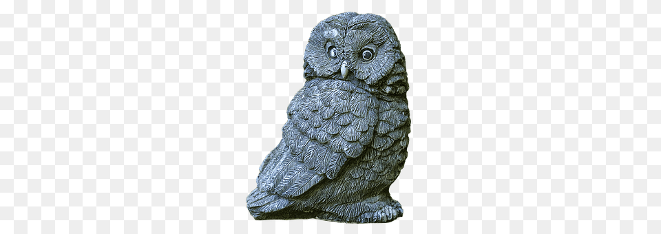 Owl Animal, Bird, Figurine, Art Png Image