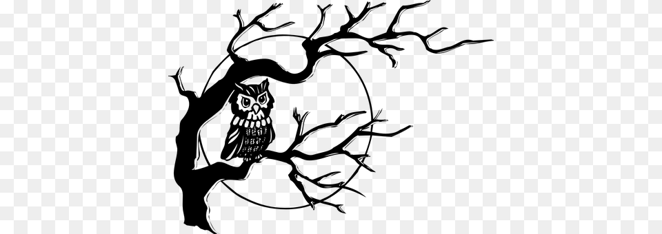 Owl Gray Free Transparent Png