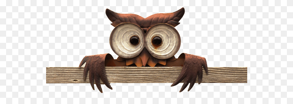 Owl Wood, Electronics, Hardware Png Image