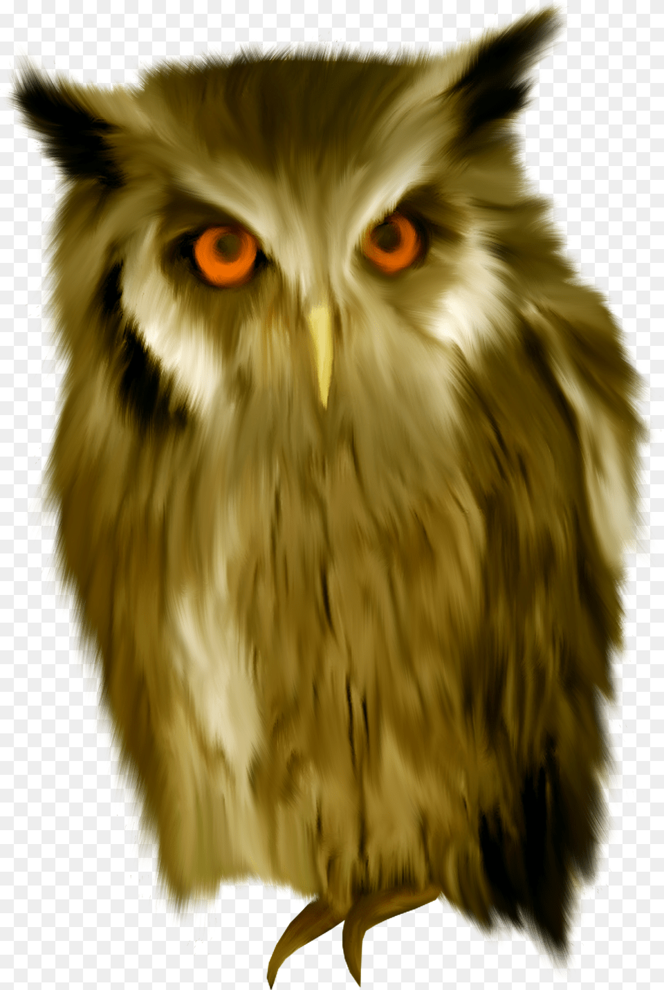 Owl, Animal, Bird Free Transparent Png