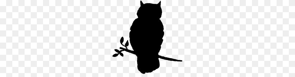 Owl, Silhouette, Person Png