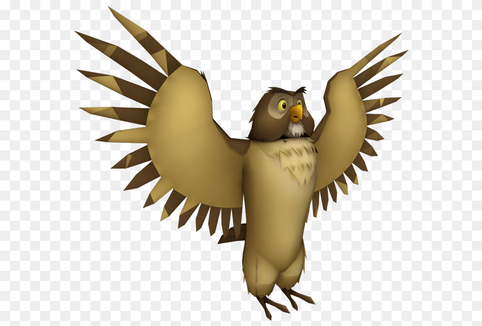 Owl, Baby, Person, Animal Free Png