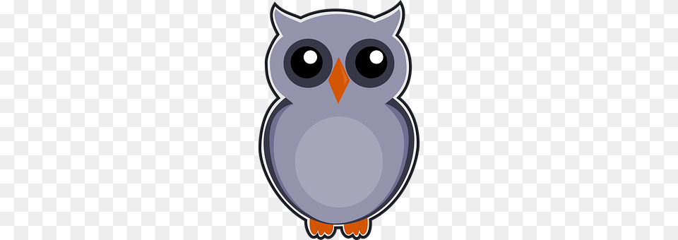 Owl Animal Free Transparent Png
