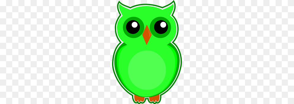 Owl Green Free Transparent Png