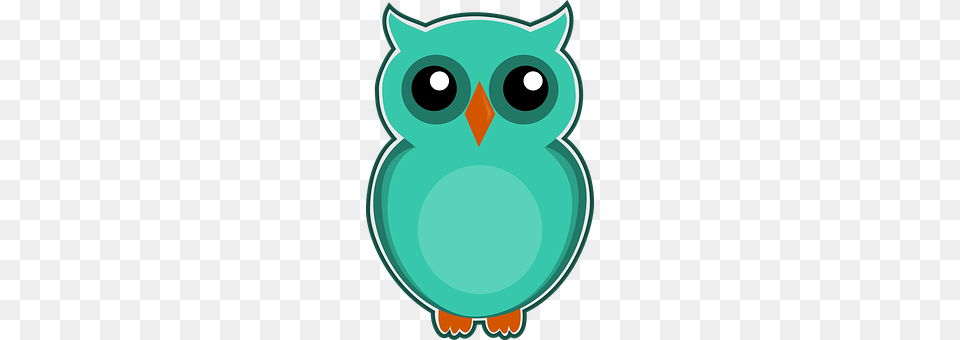 Owl Baby, Person, Animal Free Png