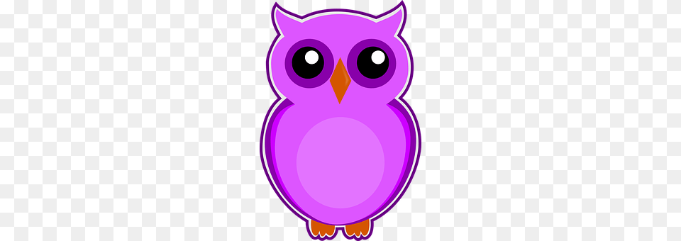 Owl Purple, Disk Png