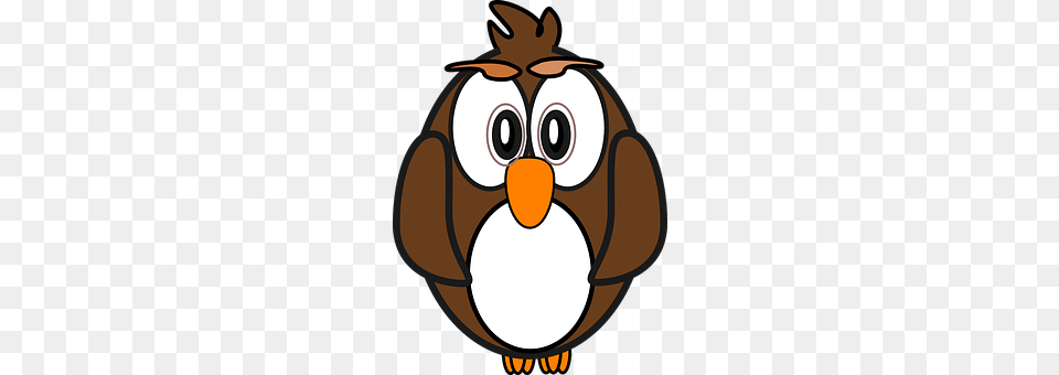 Owl Animal, Bird, Ammunition, Grenade Png Image