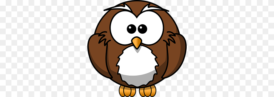 Owl Animal, Beak, Bird, Nature Free Transparent Png
