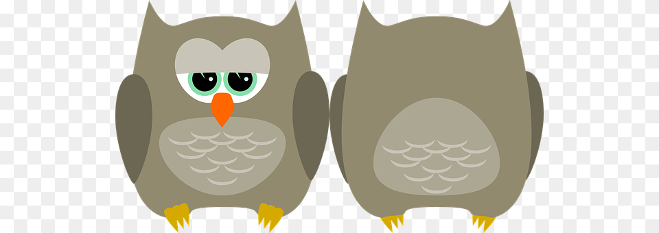 Owl Animal, Beak, Bird Free Png