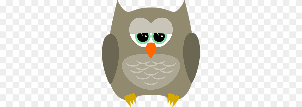 Owl Animal, Beak, Bird Free Png