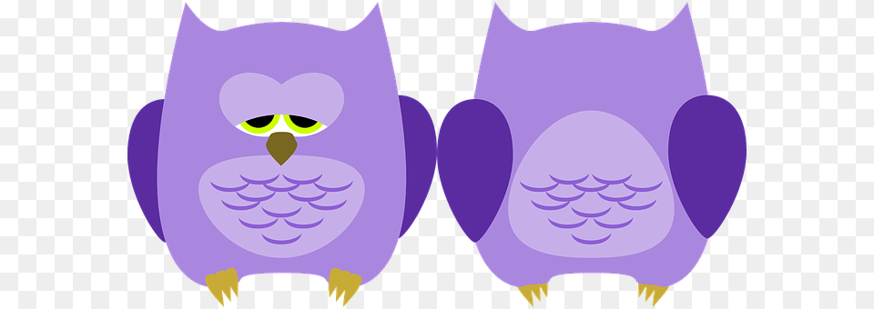 Owl Purple, Cartoon Free Transparent Png
