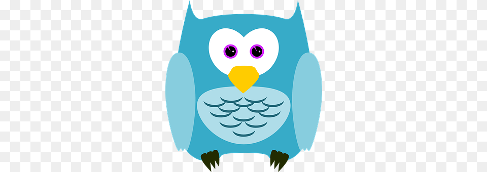 Owl Animal, Baby, Person, Bird Free Png