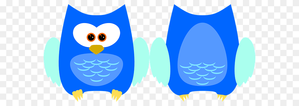 Owl Cartoon Png