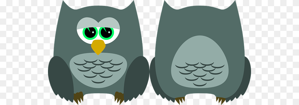 Owl Electronics Free Png Download