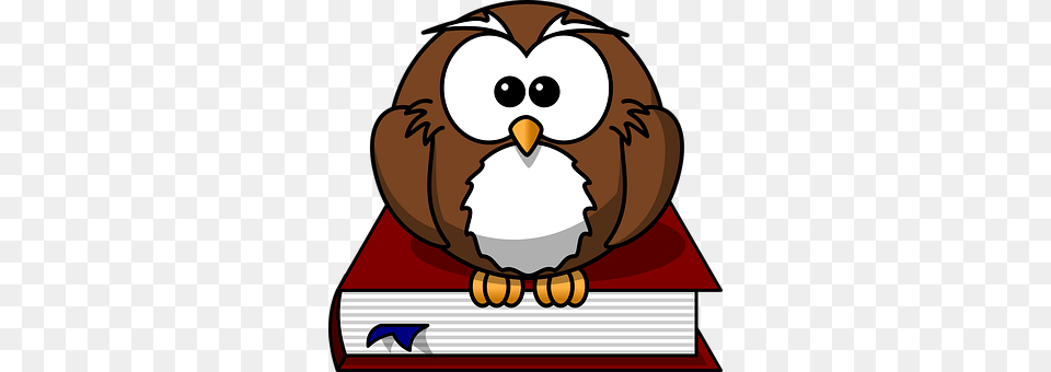 Owl Animal, Baby, Person, Nature Free Png Download