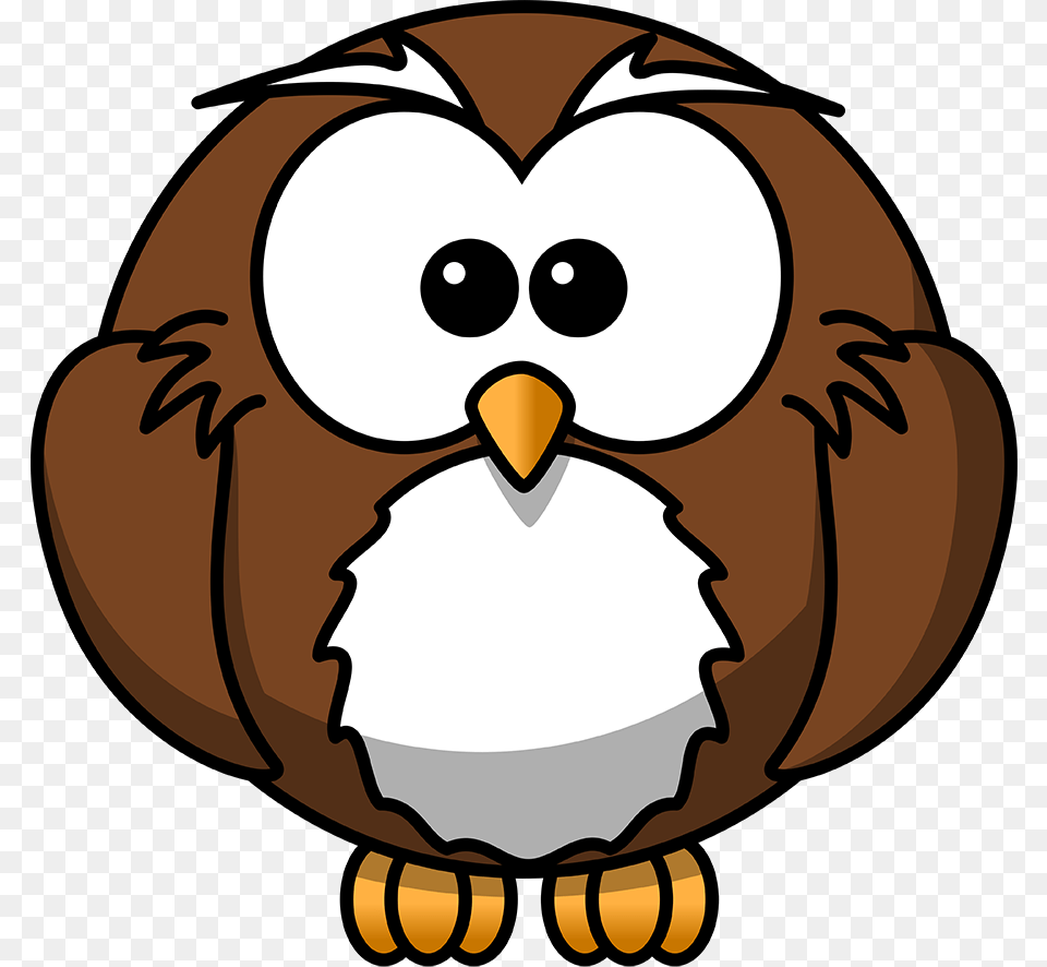 Owl, Baby, Person, Animal, Beak Free Png Download