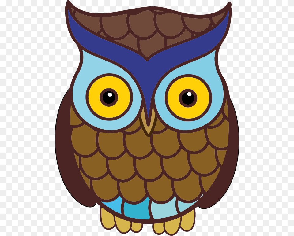 Owl, Animal, Bird, Baby, Person Png Image