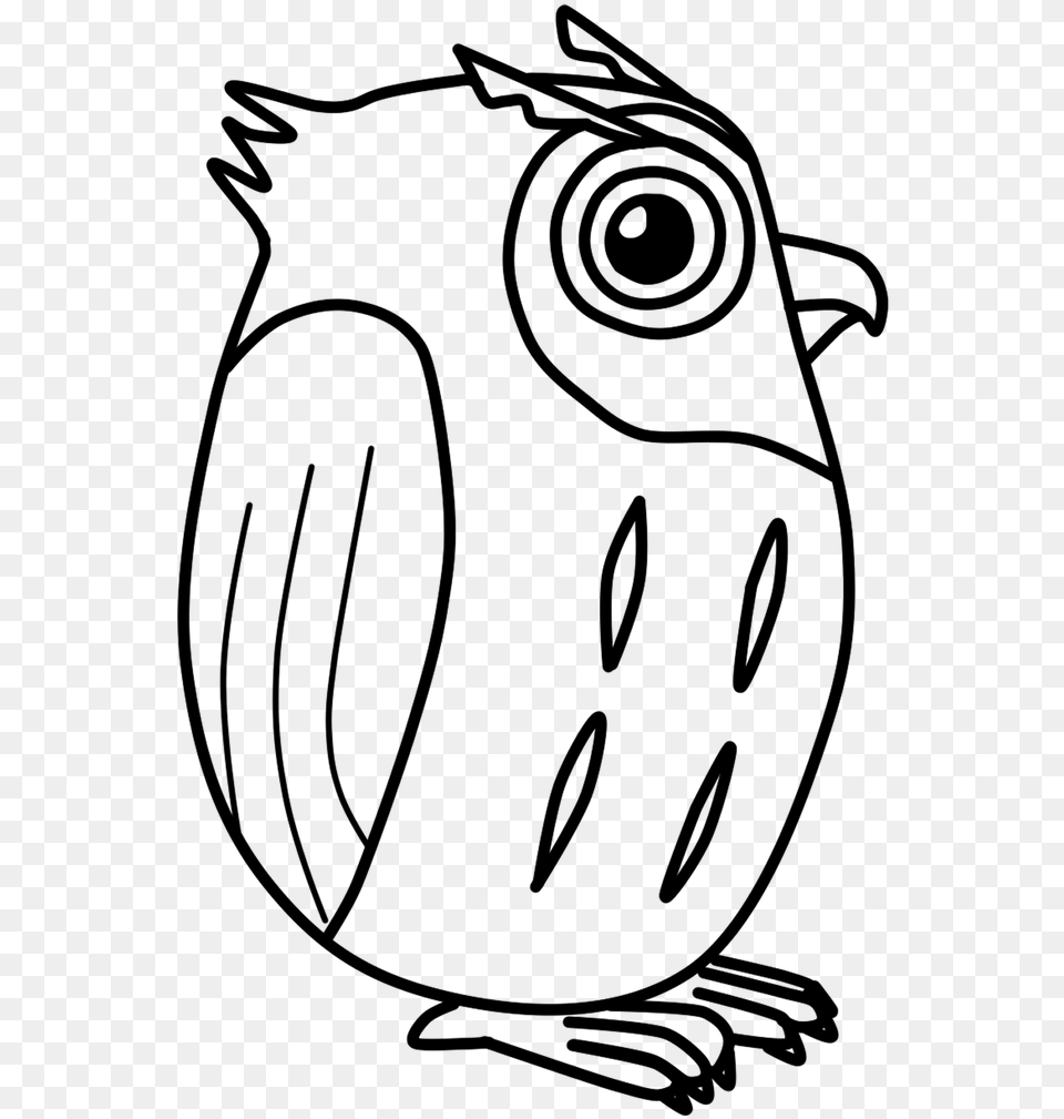 Owl, Gray Free Png