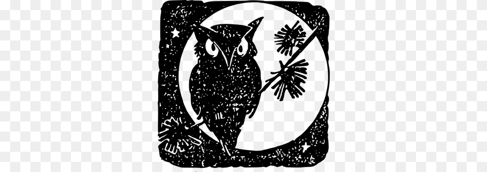 Owl Gray Free Png Download