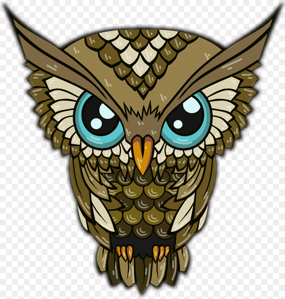 Owl Angry Eyes Style Iphone Xs Hd 4k, Animal, Cat, Mammal, Pet Png