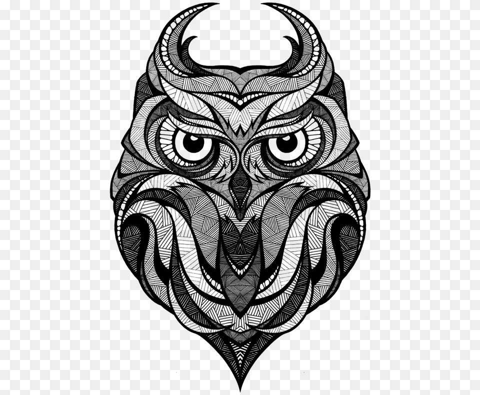 Owl Arctic Fox Drawing Art Cara De Buho Dibujo Png Image