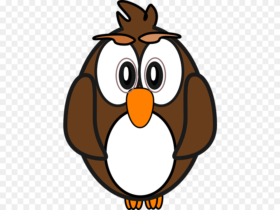 Owl Bird Animal Nocturnal Character Wild Forest Owl Clip Art Free Transparent Png