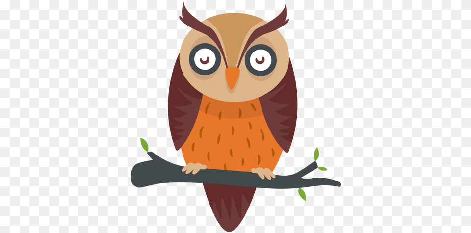 Owl Bird Cartoon Dibujos A Color Animados De Buho, Animal, Penguin, Beak Free Png