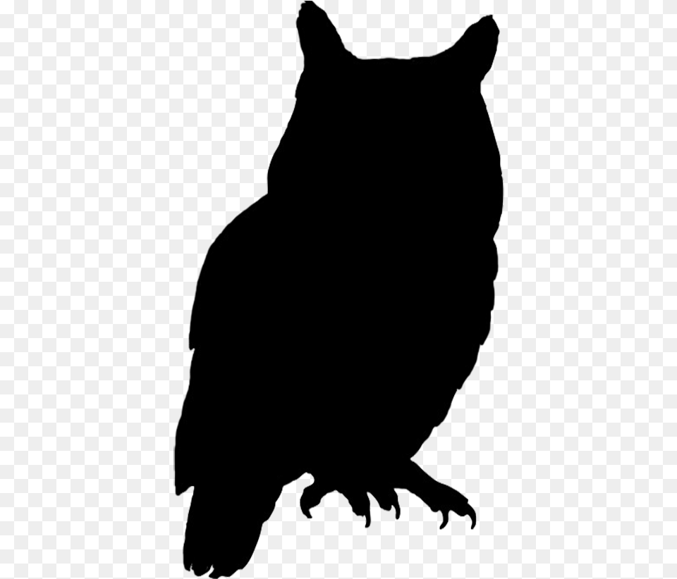 Owl Bird Silhouette Clip Art Silhouette Of Owl, Person Free Png Download