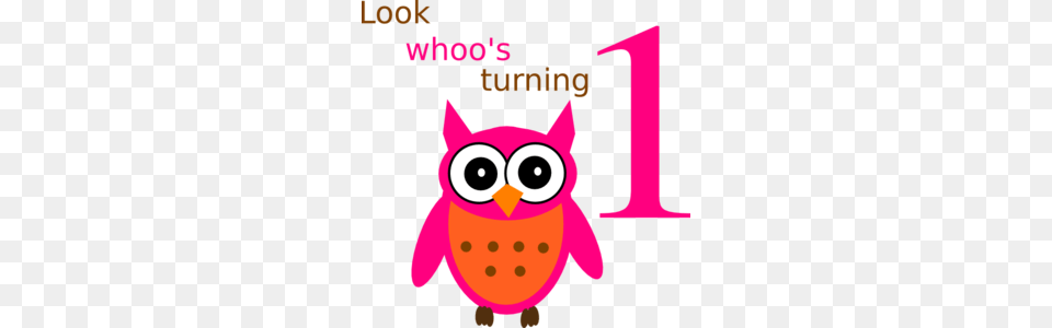 Owl Birthday Clip Art, Animal, Bird Free Png