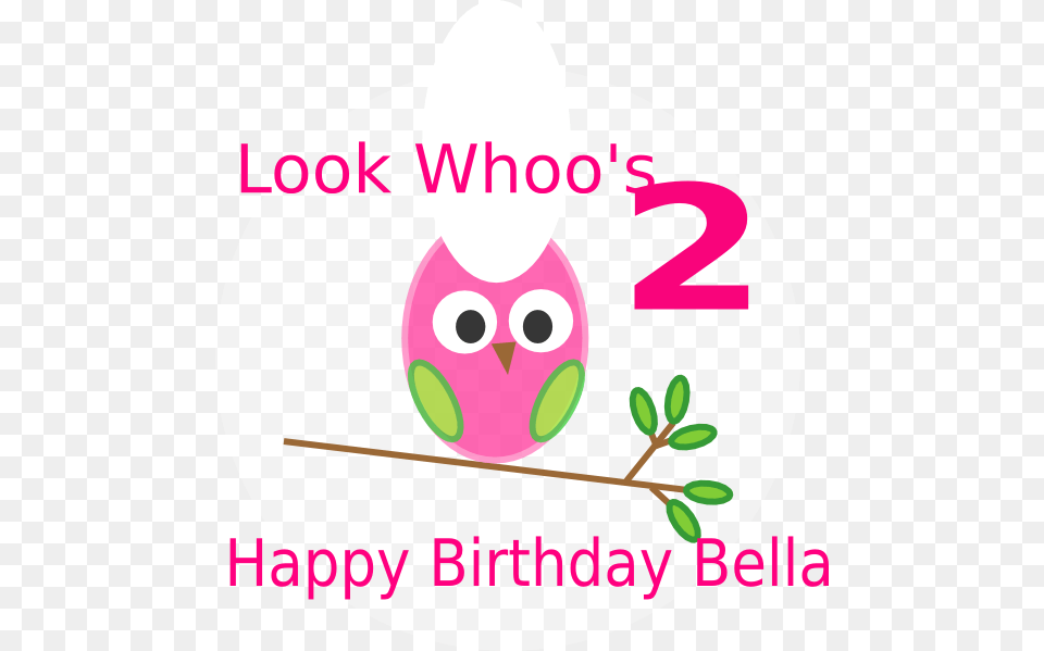 Owl Birthday Clip Art, Number, Symbol, Text, Dynamite Free Png