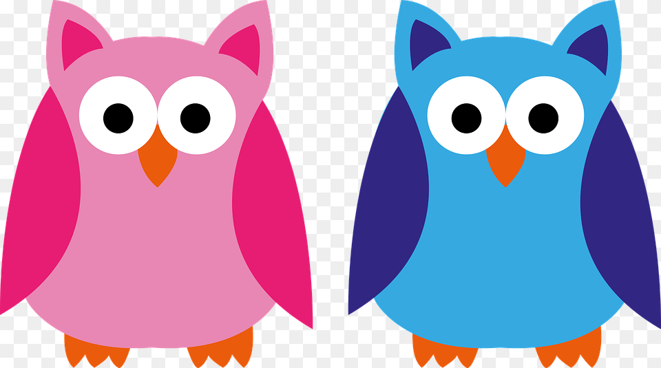 Owl Blue Pink Boy Girl Application Forest Animal Meme Menina Veste Rosa, Bear, Mammal, Wildlife, Bird Free Png