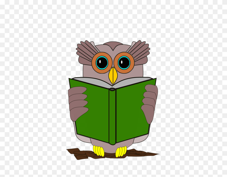 Owl Book Review Reading Bird, Person, Dynamite, Weapon Free Png Download