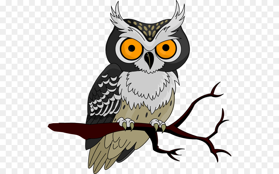 Owl Clip Art, Animal, Bird, Person, Beak Free Png Download