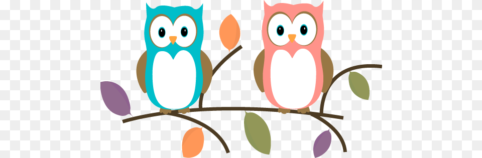 Owl Clip Art, Animal, Bird, Face, Head Png Image