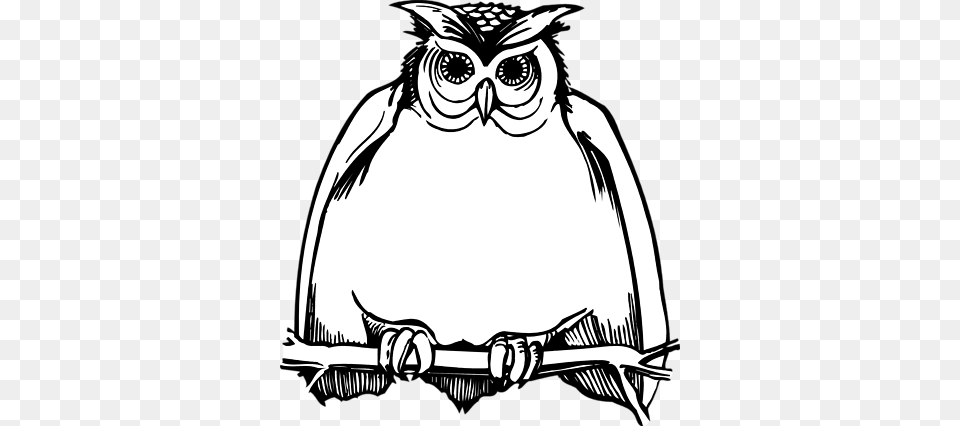 Owl Clip Art Black And White, Stencil, Adult, Wedding, Person Png Image