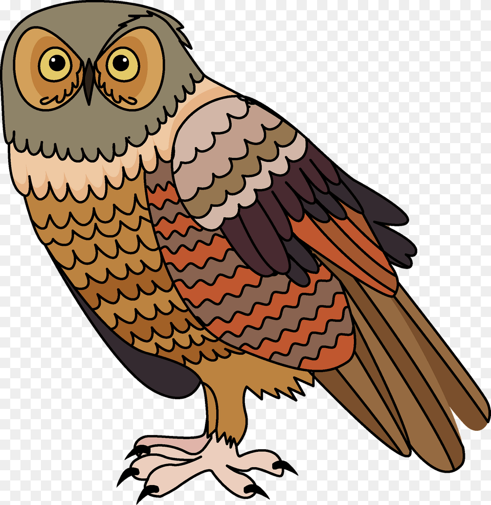 Owl Clipart, Animal, Beak, Bird, Person Free Png
