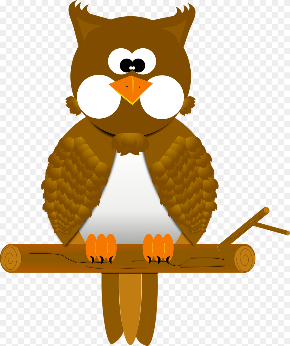 Owl Clipart, Animal, Beak, Bird, Nature Free Transparent Png