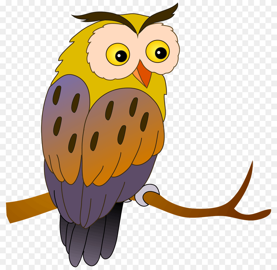 Owl Clipart, Animal, Beak, Bird, Cartoon Png