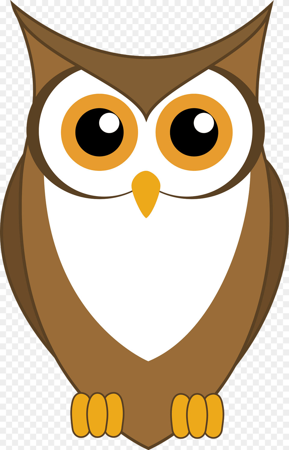 Owl Clipart, Animal, Bird, Fish, Sea Life Png