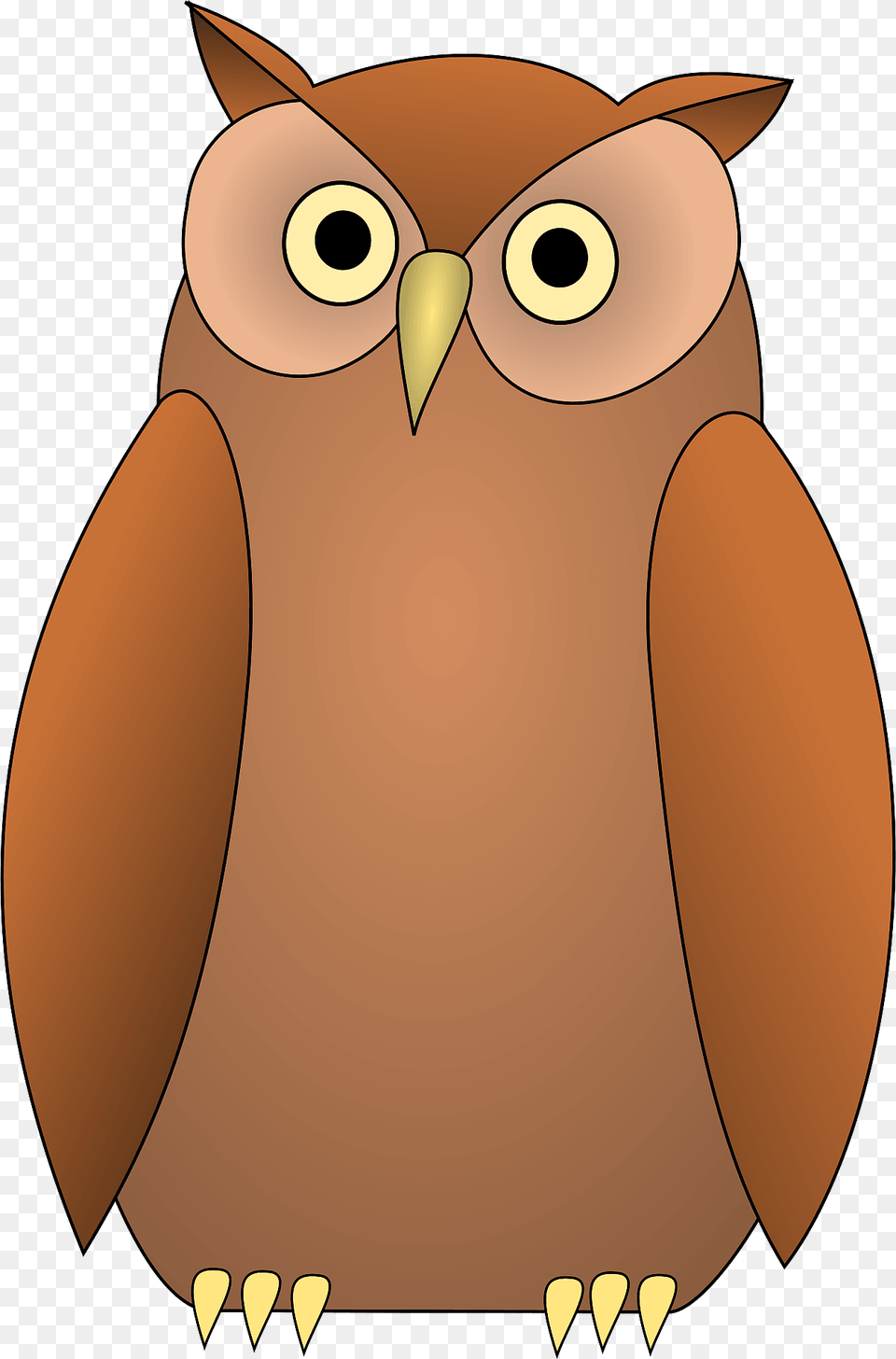 Owl Clipart, Animal, Bird, Beak, Mammal Png