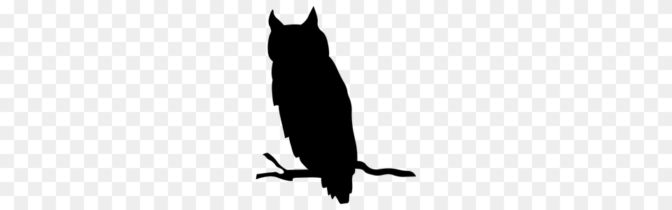 Owl Clipart, Gray Free Png Download