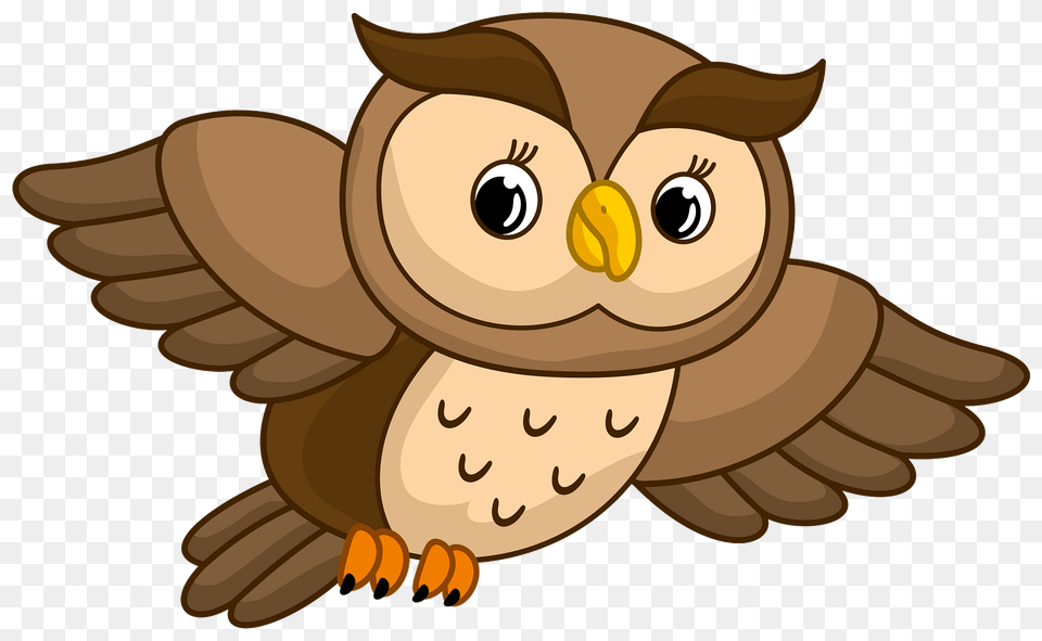 Owl Clipart, Face, Head, Person, Animal Free Transparent Png