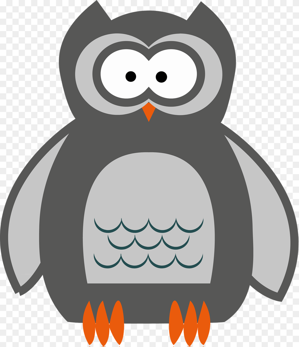 Owl Clipart, Animal, Bird, Penguin, Nature Free Png Download